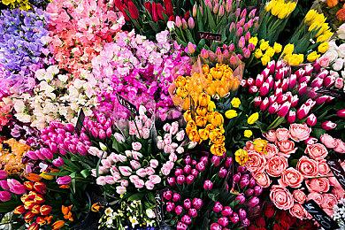 《GT赛车7》2025年3月更新上线 添加三款新车