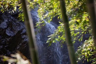 Xbox总裁：关闭工作室 是为了保证旗下游戏质量